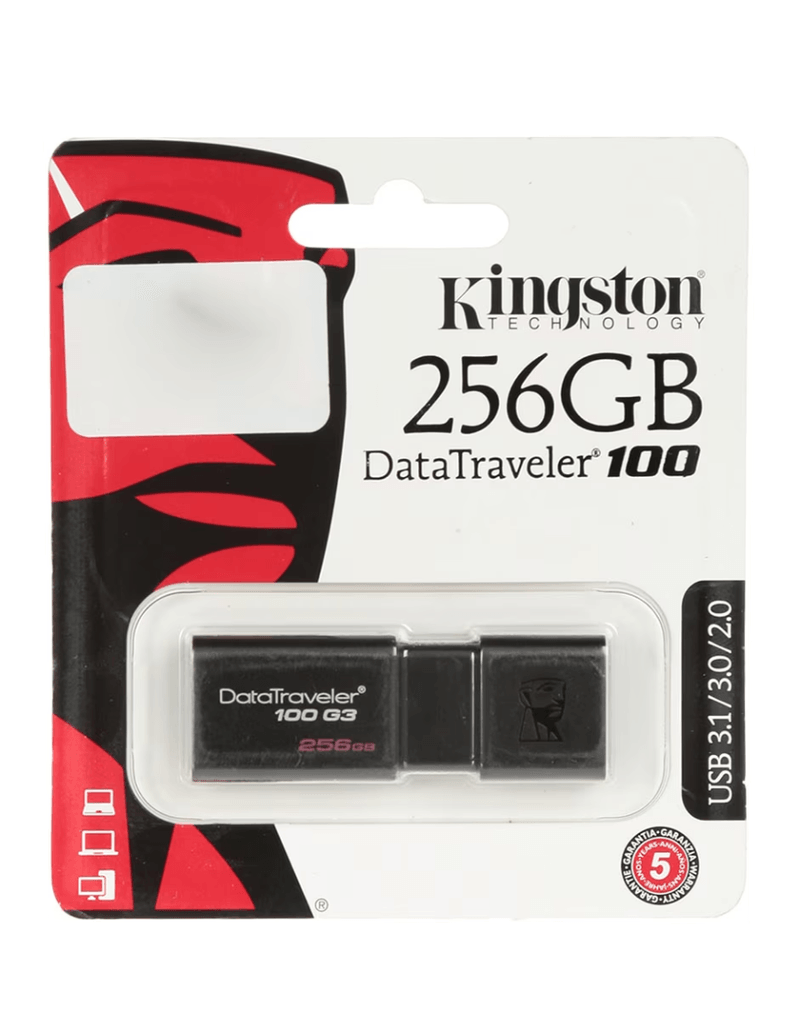 MEMORIA USB KINGSTON 256 GB