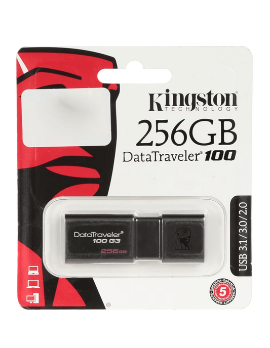 MEMORIA USB KINGSTON 256 GB