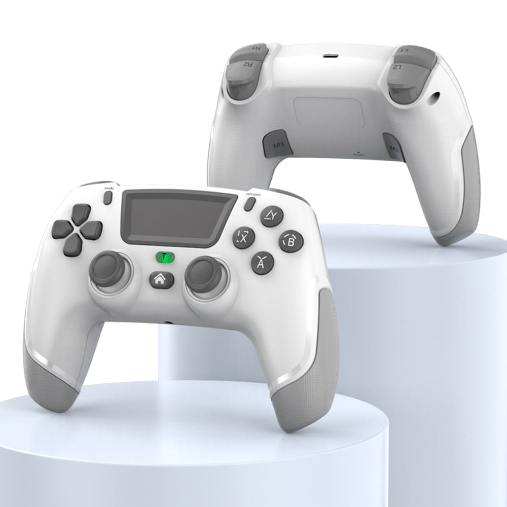 CONTROL PS4,P3,PC,NS P06